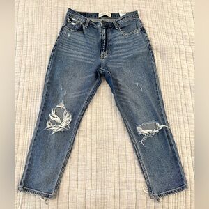 Abercrombie & Fitch Mom Jean 28/6s